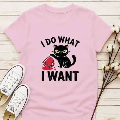 I Do What I Want 3 T-shirt