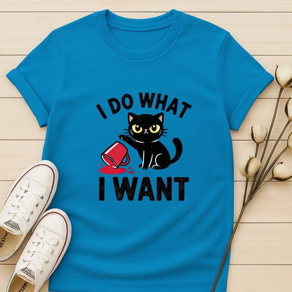 I Do What I Want 3 T-shirt