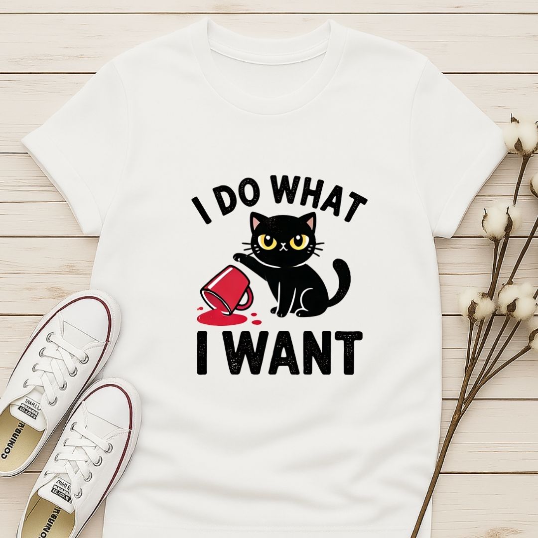 I Do What I Want 3 T-shirt